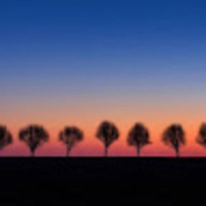 Meet your Posher, Zach